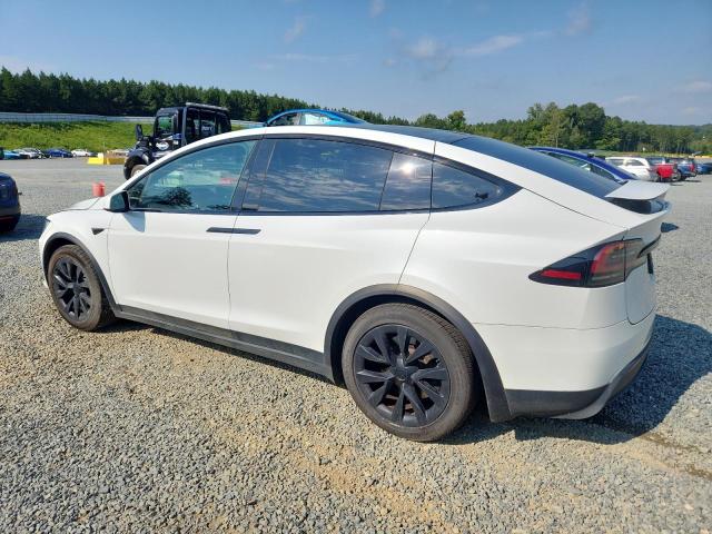 7SAXCDE53PF395436 - 2023 TESLA MODEL X Ağ foto 2