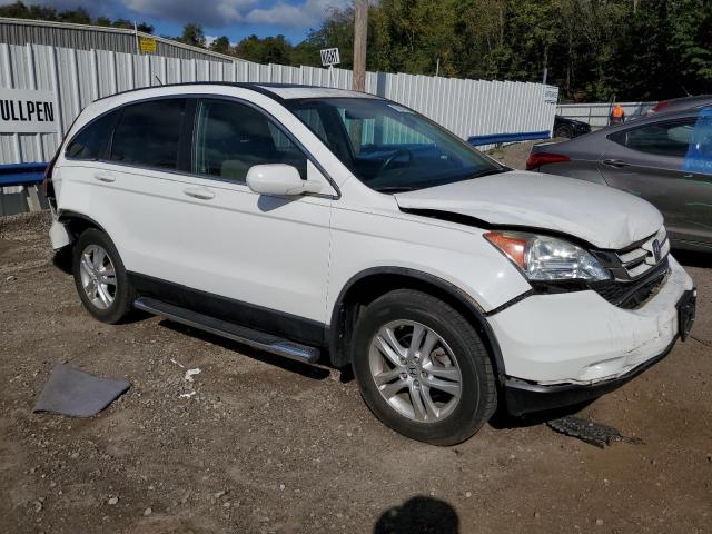 5J6RE3H71BL006400 - 2011 HONDA CR-V EXL WHITE photo 4