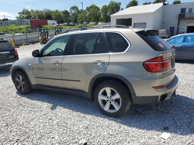 5UXZV8C56BL418805 - 2011 BMW X5 XDRIVE50I BEIGE photo 2