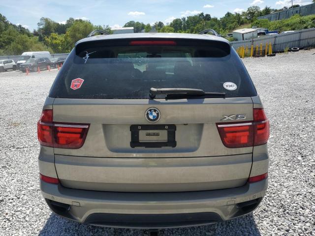 5UXZV8C56BL418805 - 2011 BMW X5 XDRIVE50I BEIGE photo 6