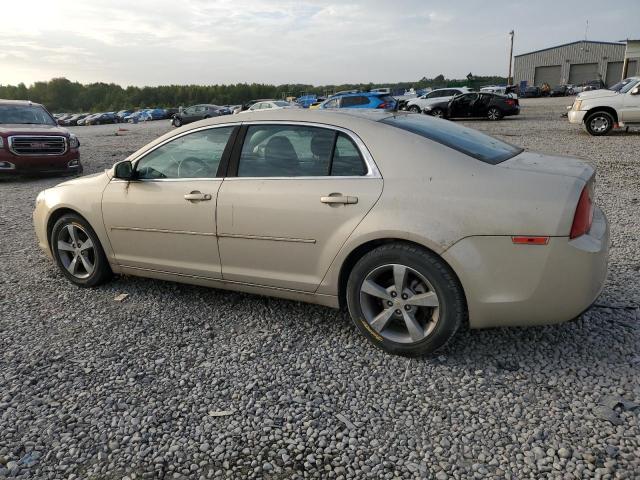 1G1ZC5E15BF327368 - 2011 CHEVROLET MALIBU 1LT BEIGE photo 2