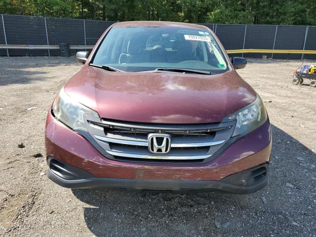 5J6RM4H31DL069831 - 2013 HONDA CR-V LX أحمر صورة 5