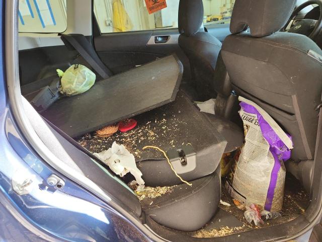 JF2SHBBC0CH452560 - 2012 SUBARU FORESTER 2.5X 蓝色 照片 11