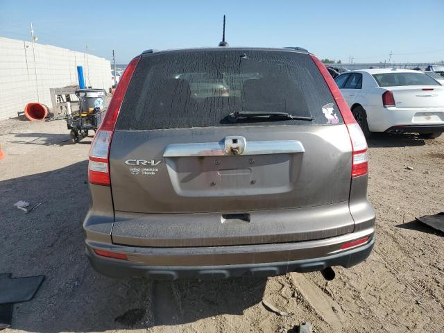 5J6RE4H77AL044895 - 2010 HONDA CR-V EXL 灰色 照片 6