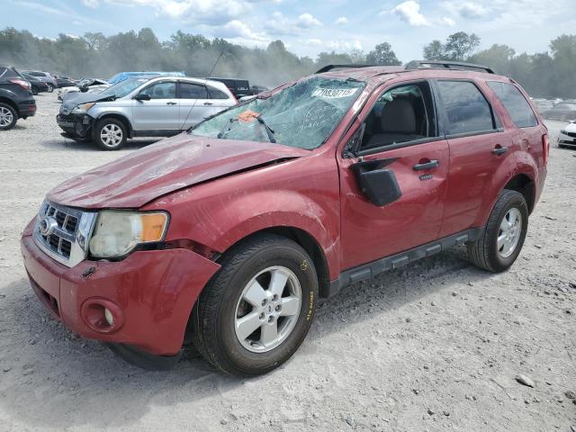 2010 FORD ESCAPE XLT, 