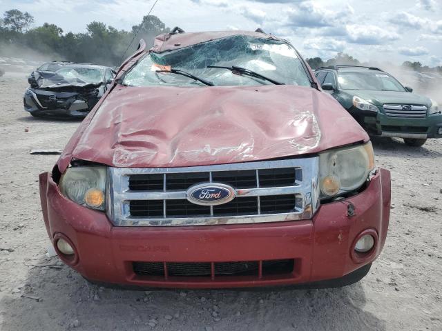 1FMCU0D75AKD44787 - 2010 FORD ESCAPE XLT 红色 照片 5