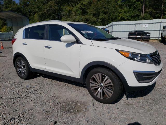 KNDPC3AC7G7869468 - 2016 KIA SPORTAGE EX WHITE photo 4