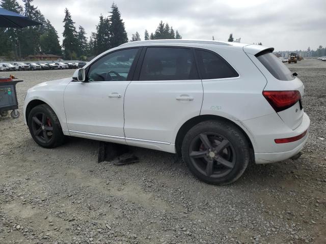 WA1LFAFP6DA023766 - 2013 AUDI Q5 PREMIUM PLUS 白色 照片 2