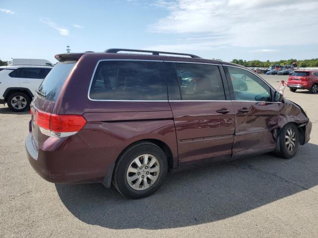 5FNRL38628B086594 - 2008 HONDA ODYSSEY EXL Марун фото 3