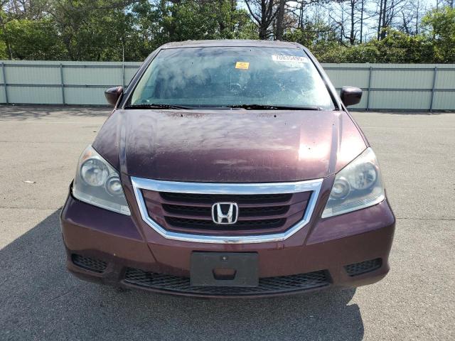 5FNRL38628B086594 - 2008 HONDA ODYSSEY EXL Марун фото 5