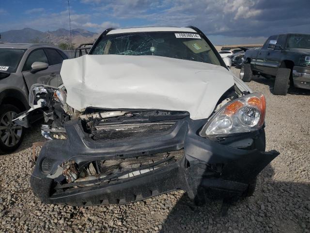 JHLRD78835C005569 - 2005 HONDA CR-V EXL EX WHITE photo 5