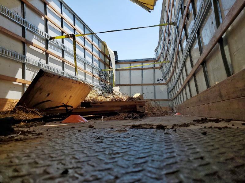 1HTMMMML2KH581168 - 2019 INTERNATIONAL 4000 4300 Жовтий фото 10