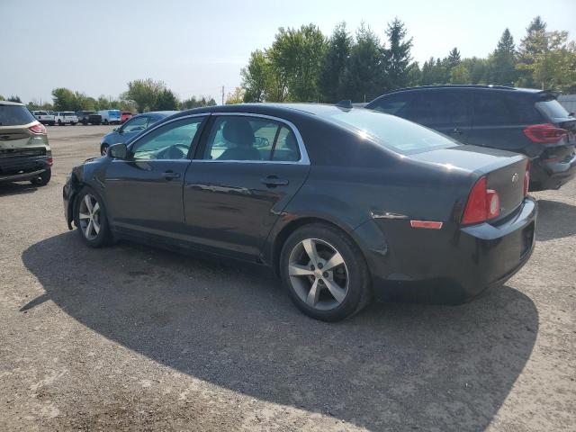 1G1ZB5EUXCF130100 - 2012 CHEVROLET MALIBU LS Noir photo 2