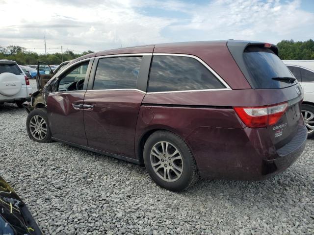 5FNRL5H6XCB074102 - 2012 HONDA ODYSSEY EXL Բորդո լուսանկար 2