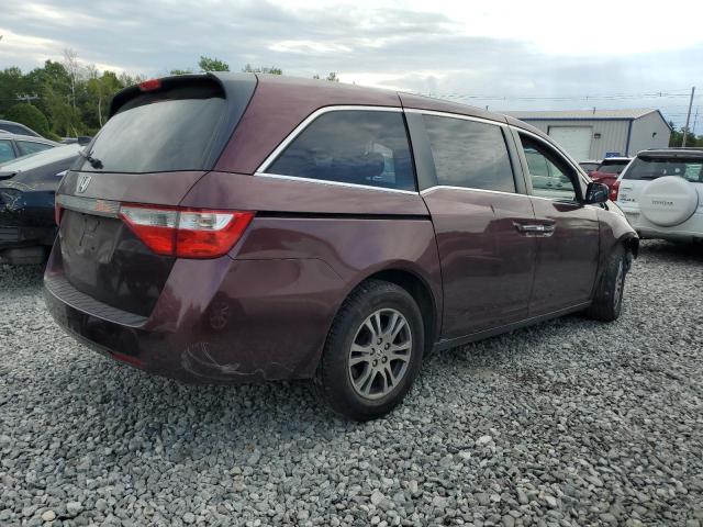 5FNRL5H6XCB074102 - 2012 HONDA ODYSSEY EXL Բորդո լուսանկար 3