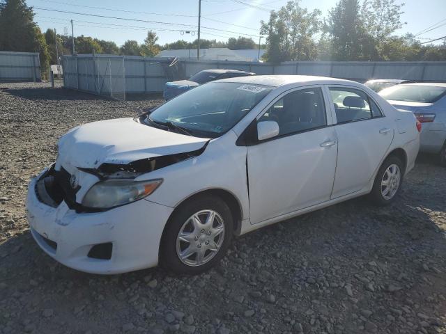 2010 TOYOTA COROLLA BASE, 