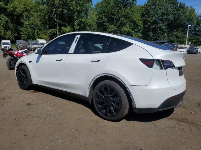 7SAYGAEE6NF429082 - 2022 TESLA MODEL Y WHITE photo 2