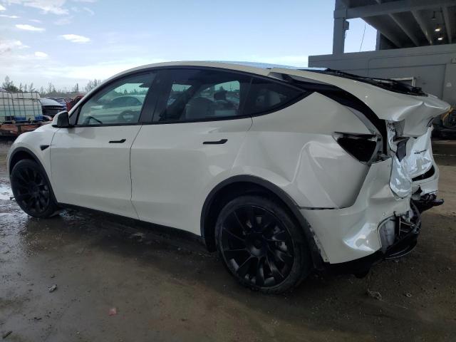 5YJYGDEE2MF161905 - 2021 TESLA MODEL Y Ağ foto 2