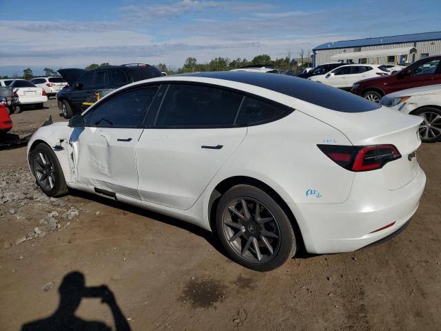 5YJ3E1EA4PF568429 - 2023 TESLA MODEL 3 Ağ foto 2