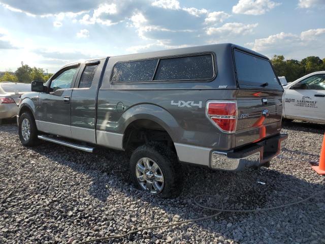 1FTFX1EF8DFB74121 - 2013 FORD F150 SUPER CAB GRAY photo 2