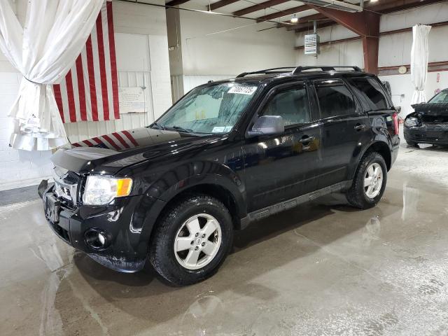 2010 FORD ESCAPE XLT, 