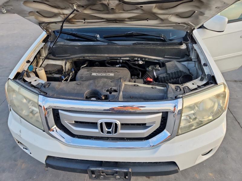 5FNYF386X9B013686 - 2009 HONDA PILOT EXL WHITE photo 11