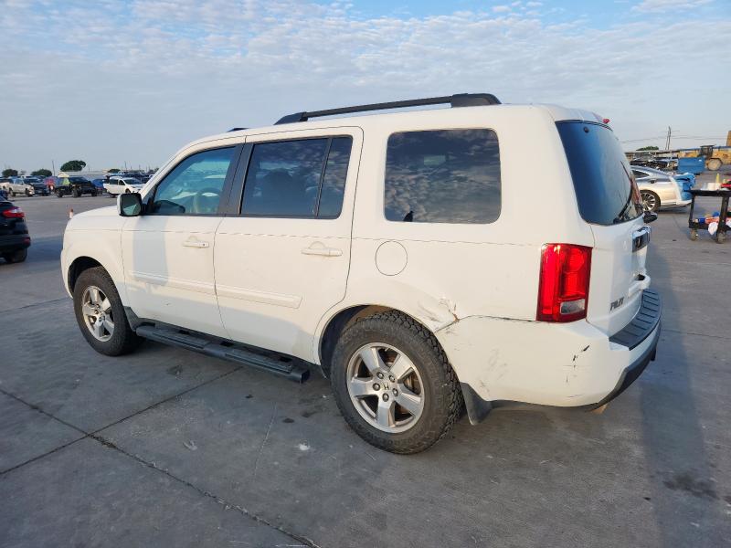 5FNYF386X9B013686 - 2009 HONDA PILOT EXL WHITE photo 2