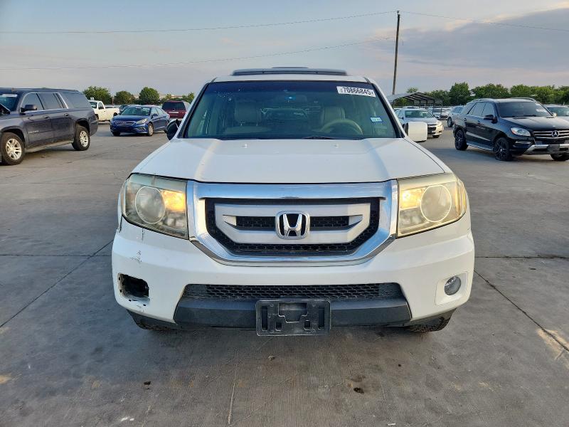 5FNYF386X9B013686 - 2009 HONDA PILOT EXL WHITE photo 5