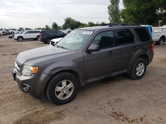 2009 FORD ESCAPE XLT, 