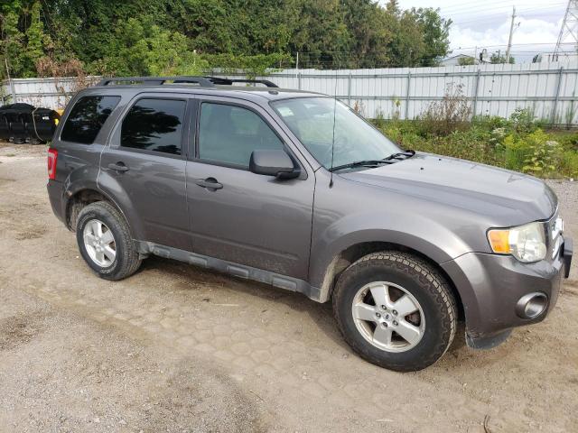 1FMCU03G99KA98176 - 2009 FORD ESCAPE XLT GRAY photo 4