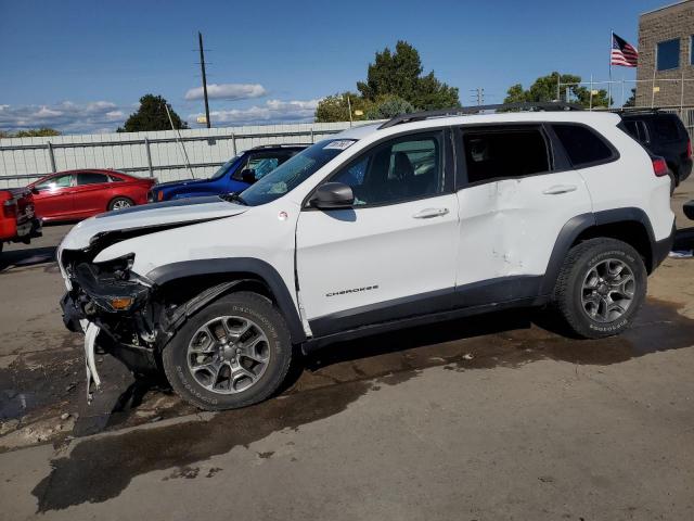 1C4PJMBX9MD149471 - 2021 JEEP CHEROKEE TRAILHAWK WHITE photo 1