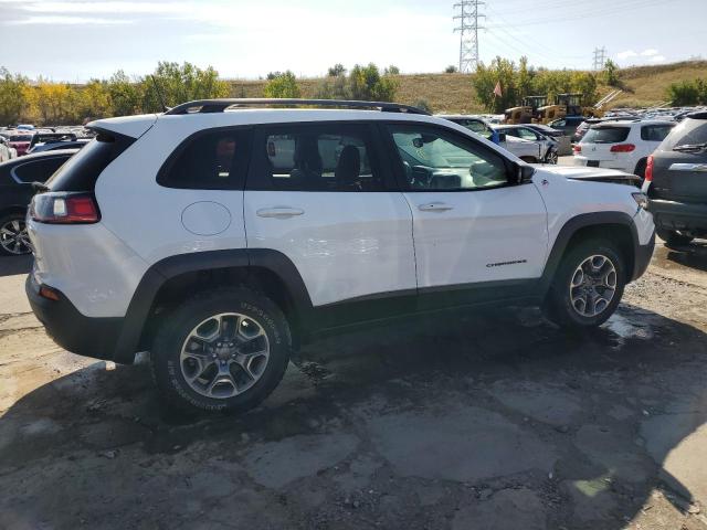 1C4PJMBX9MD149471 - 2021 JEEP CHEROKEE TRAILHAWK WHITE photo 3