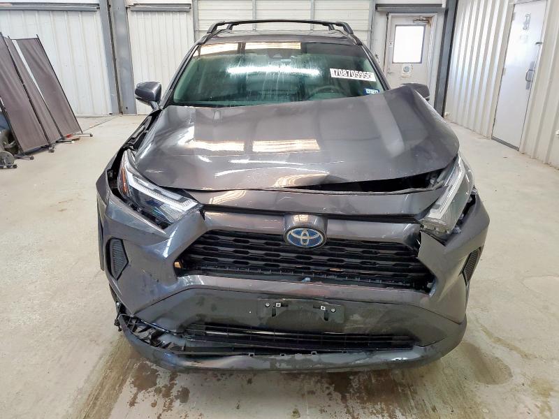 2T3RWRFV3RW206970 - 2024 TOYOTA RAV4 XLE Gris photo 5