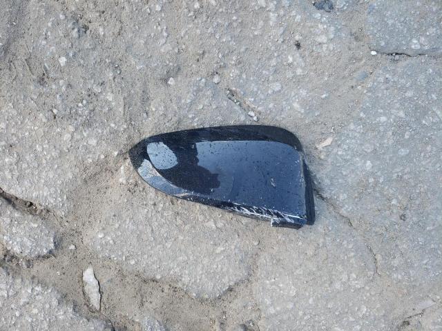 JTEEU5JR3N5255199 - 2022 TOYOTA 4RUNNER SR5 BLACK photo 13