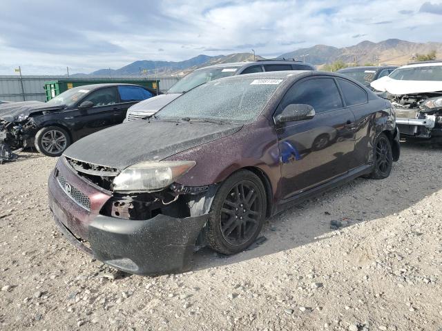 JTKDE167380266307 - 2008 TOYOTA SCION TC ორფეროვანი ფოტო 1