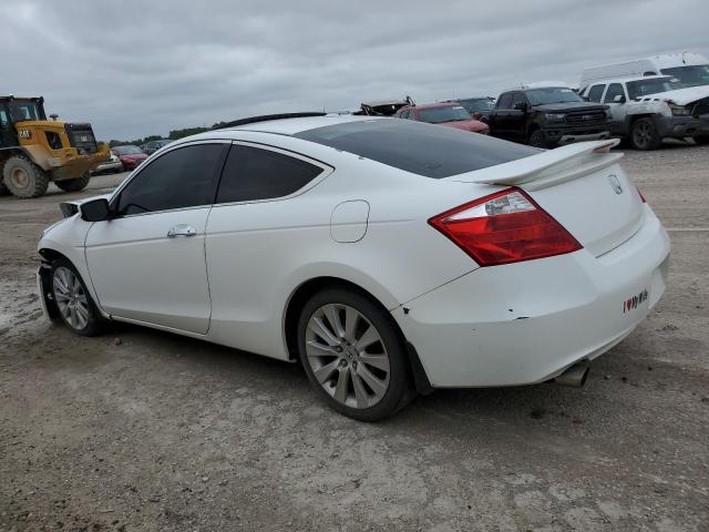 1HGCS22809A002197 - 2009 HONDA ACCORD EXL 白色 照片 2