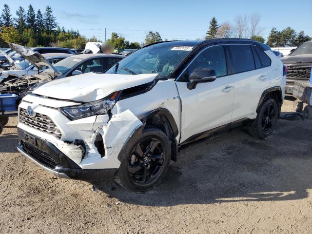 2019 TOYOTA RAV4 XLE, 