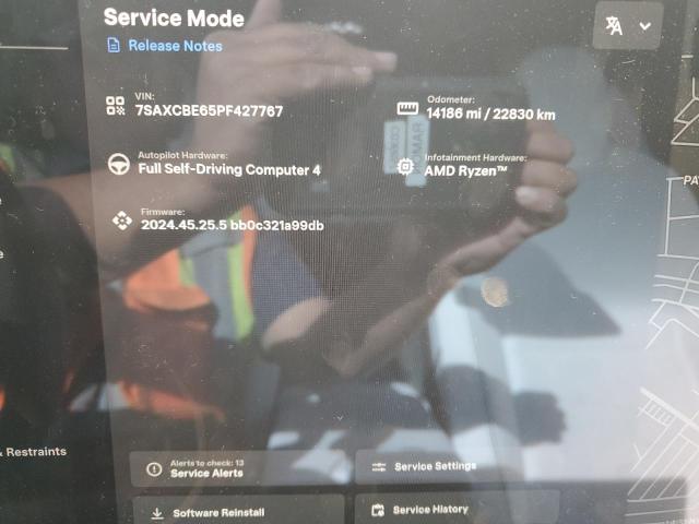 7SAXCBE65PF427767 - 2023 TESLA MODEL X PINK photo 9