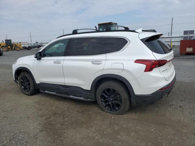 5NMS6DAJ1NH383590 - 2022 HYUNDAI SANTA FE SEL 白色 照片 2