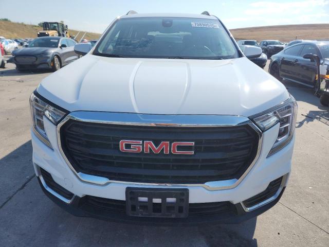 3GKALTEG8PL190134 - 2023 GMC TERRAIN SLE 白色 照片 5