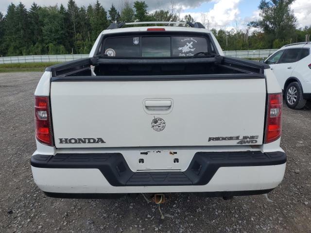 5FPYK1F56BB452617 - 2011 HONDA RIDGELINE RTL WHITE photo 6