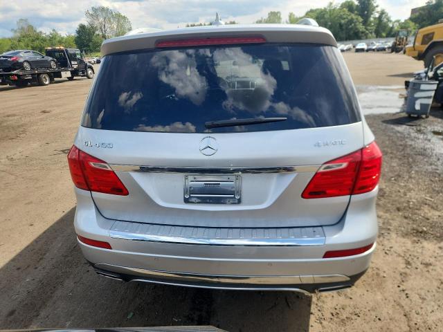 4JGDF7CE1DA135855 - 2013 MERCEDES-BENZ GL 450 4MATIC SILVER photo 6