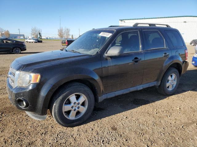 2009 FORD ESCAPE XLT, 