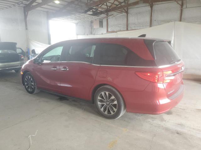 5FNRL6H65PB063178 - 2023 HONDA ODYSSEY EXL 红色 照片 2