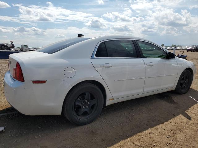 1G1ZB5E06CF105904 - 2012 CHEVROLET MALIBU LS Սպիտակ լուսանկար 3