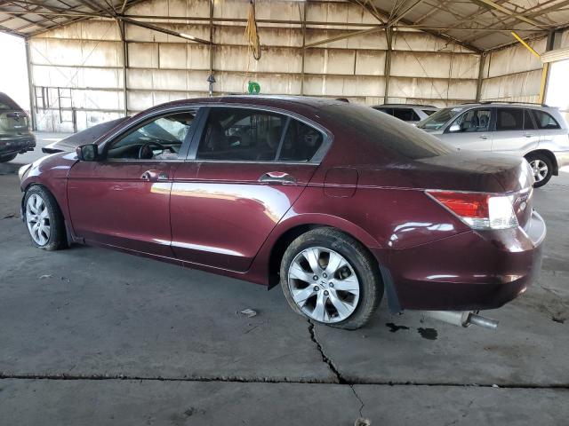 1HGCP36898A079294 - 2008 HONDA ACCORD EXL BURGUNDY photo 2