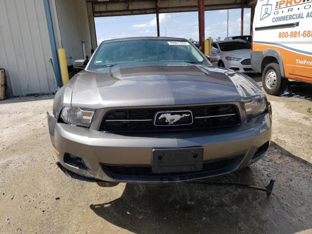 1ZVBP8AN5A5176721 - 2010 FORD MUSTANG SILVER photo 5