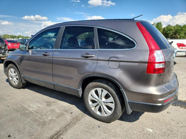 5J6RE4H73AL077103 - 2010 HONDA CR-V EXL GRAY photo 2