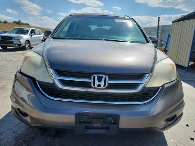 5J6RE4H73AL077103 - 2010 HONDA CR-V EXL GRAY photo 5