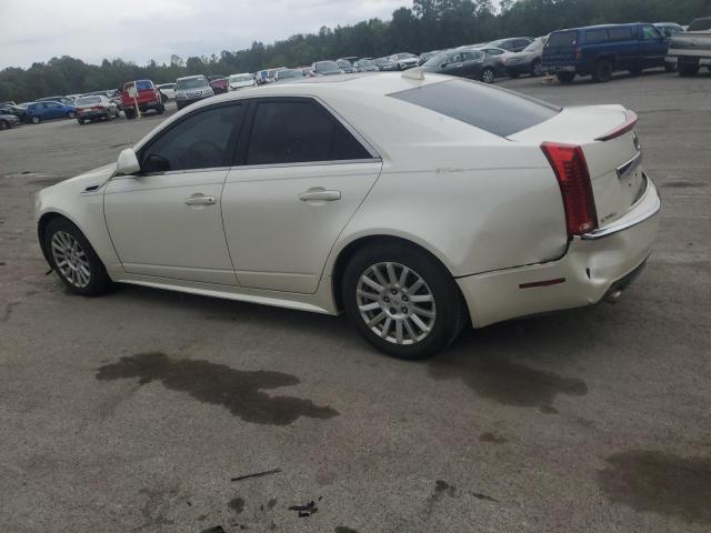 1G6DG5EY5B0122674 - 2011 CADILLAC CTS LUXURY COLLECTION Սպիտակ լուսանկար 2